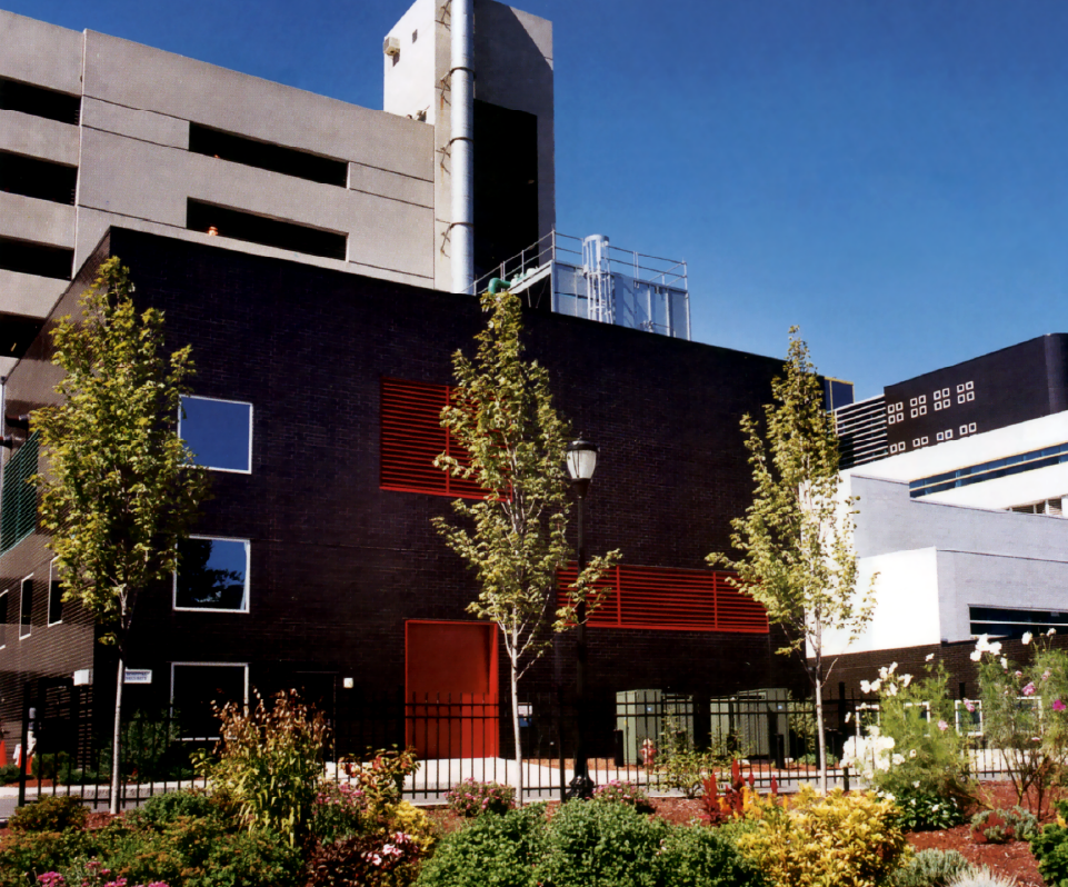 MCLDG Site - BrandCPLD 3